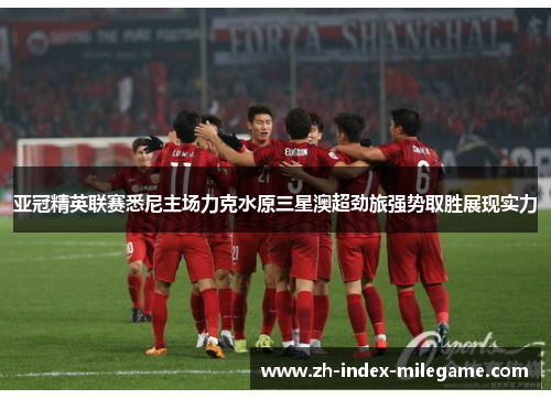 亚冠精英联赛悉尼主场力克水原三星澳超劲旅强势取胜展现实力